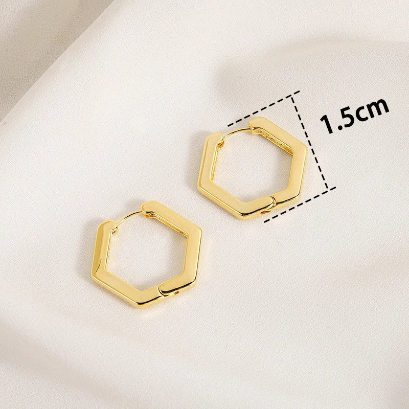 Twisted Hoop Earrings