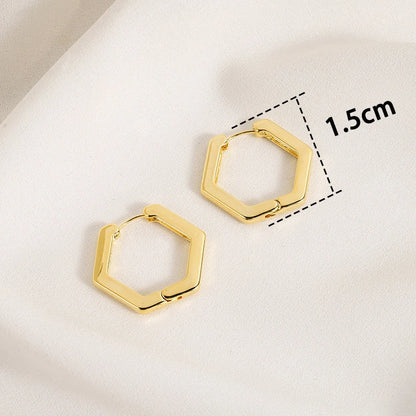 Twisted Hoop Earrings