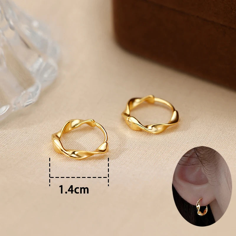 Twisted Hoop Earrings
