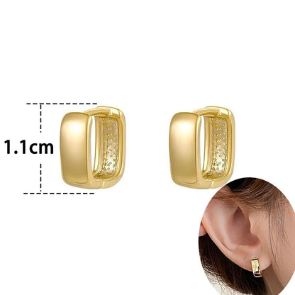 Twisted Hoop Earrings