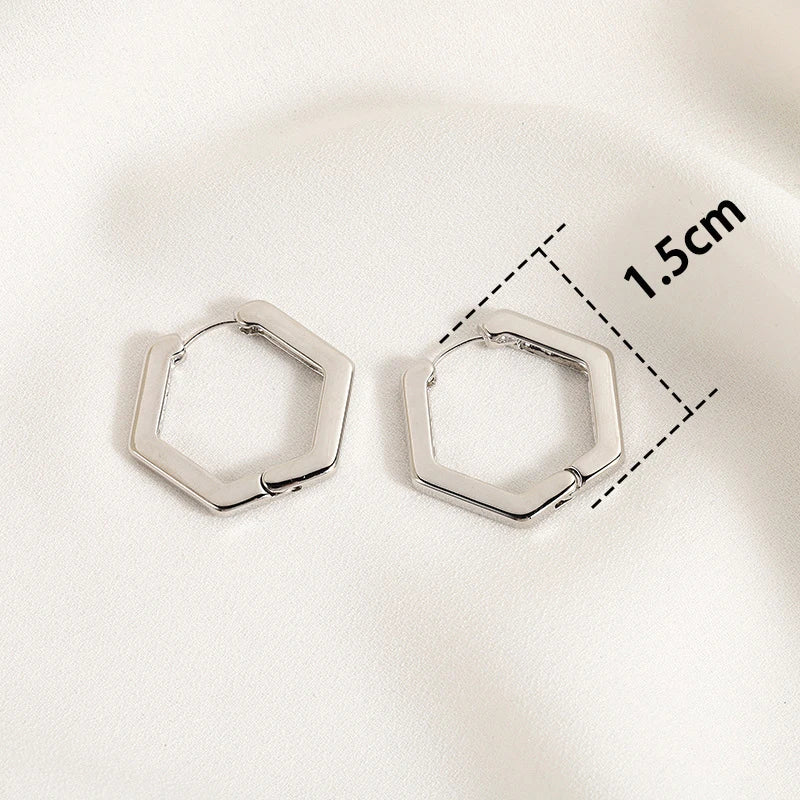 Twisted Hoop Earrings