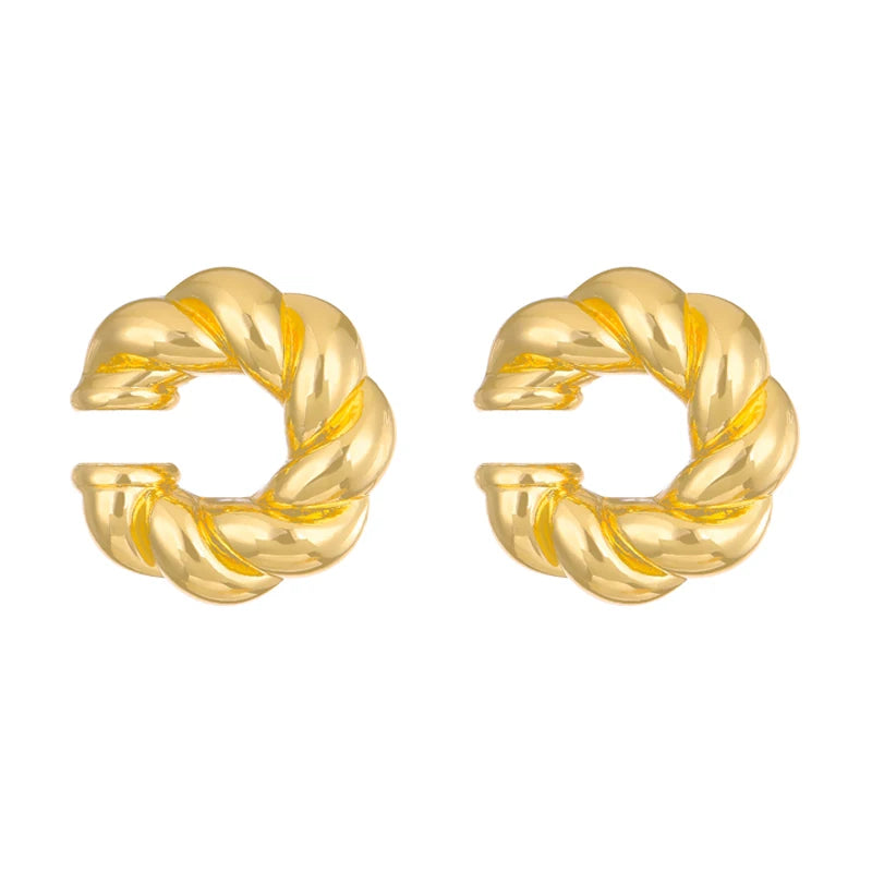 Clip Earrings