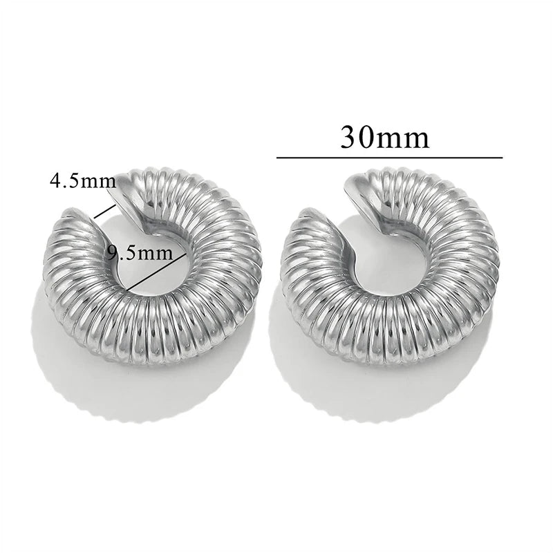 Clip Earrings