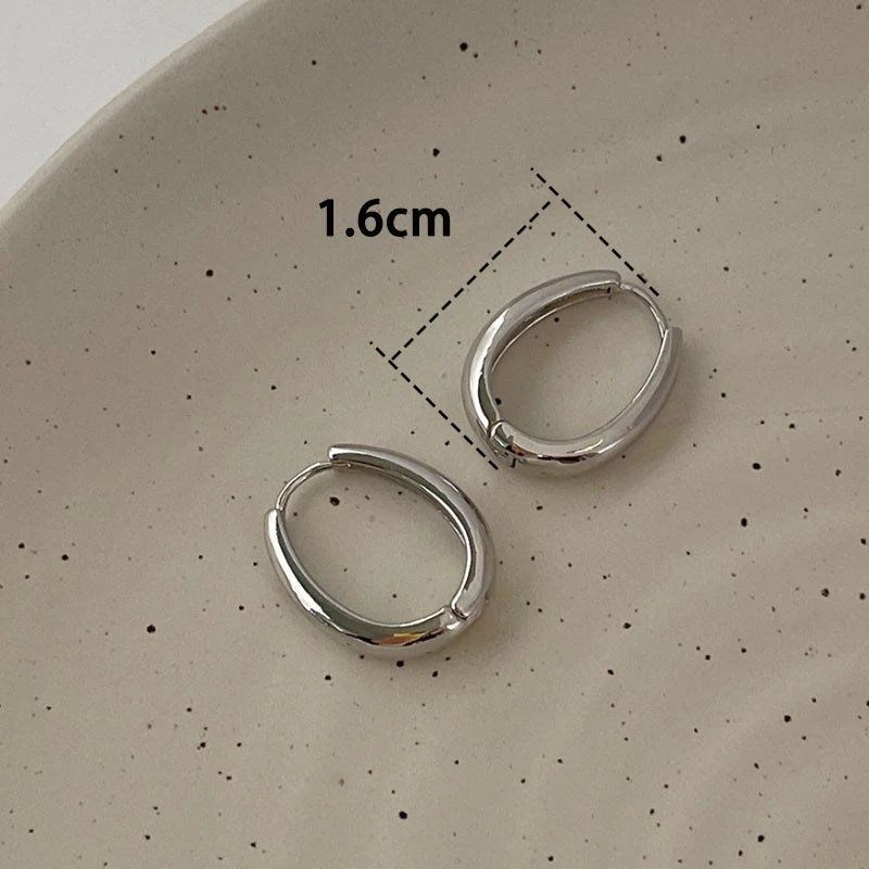 Twisted Hoop Earrings